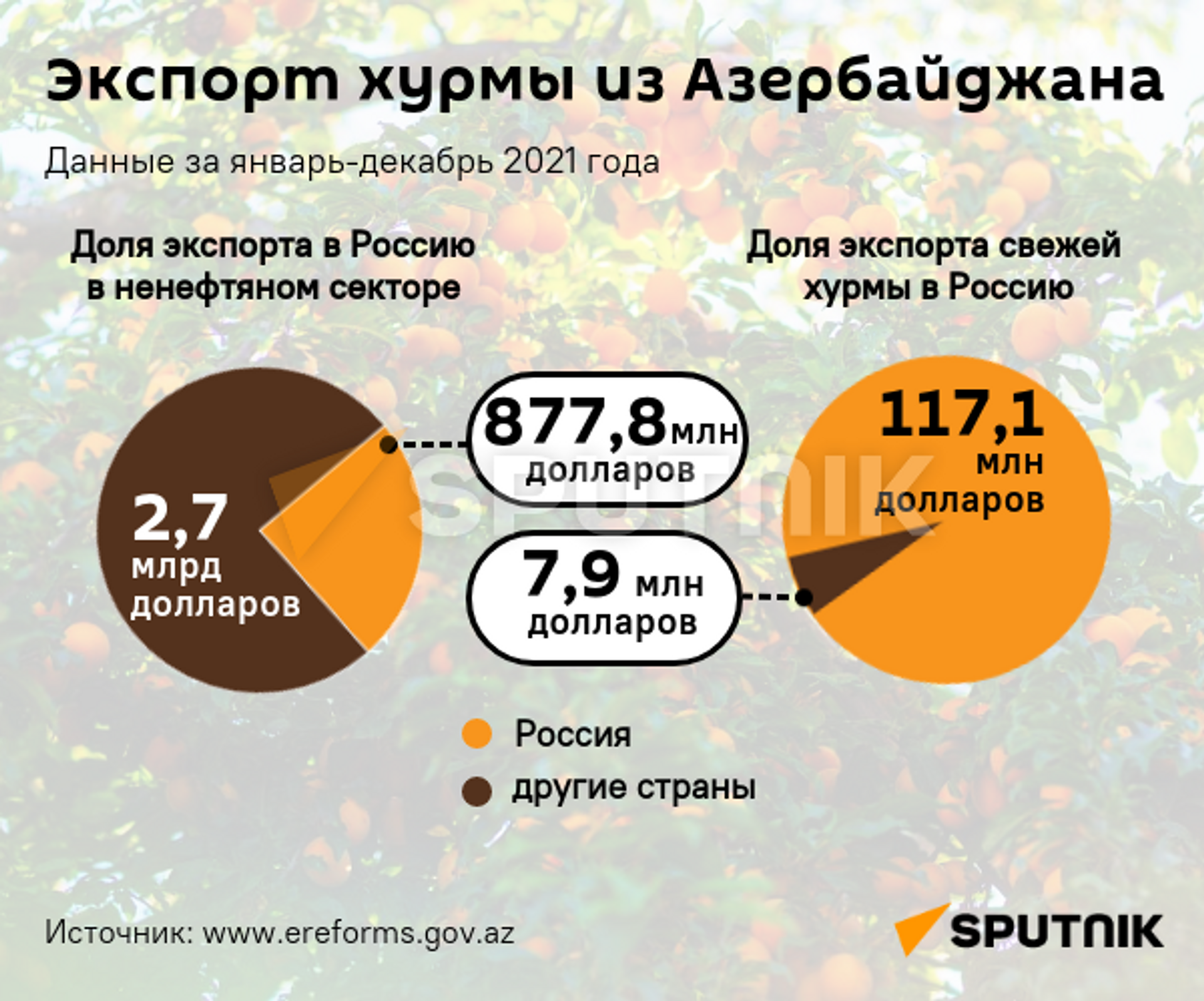 Инфографика: Экспорт хурмы из Азербайджана  - Sputnik Азербайджан, 1920, 14.10.2022