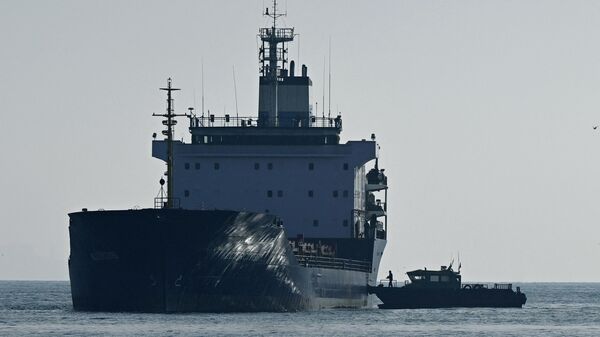 Грузовое судно с зерном у южного входа в пролив Босфор в Стамбуле - Sputnik Азербайджан