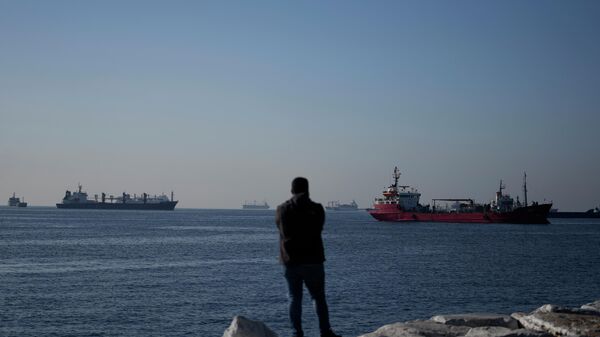 Грузовое судно с зерном у южного входа в пролив Босфор в Стамбуле - Sputnik Азербайджан