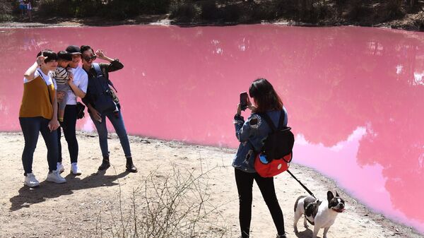 Озеро ярко-розового цвета в Австралии, ставшее таким из-за экстремального уровня соли в связи с жаркой погодой - Sputnik Азербайджан
