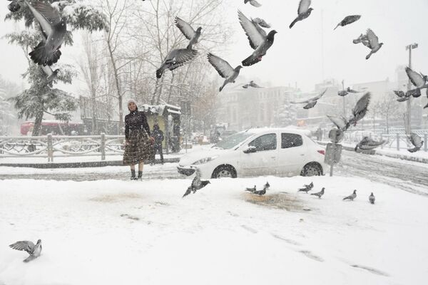 Девушка и голуби во время снегопада в Тегеране. - Sputnik Азербайджан