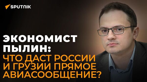 Экономист Пылин объяснил, почему Грузия не поставляет Украине вооружение - Sputnik Азербайджан
