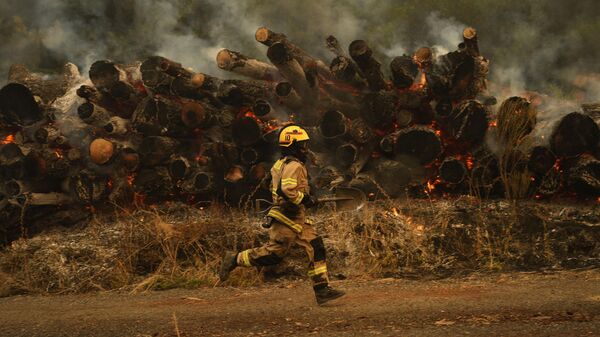 Пожарный бежит тушить пламя в Санта-Хуане, Чили - Sputnik Азербайджан
