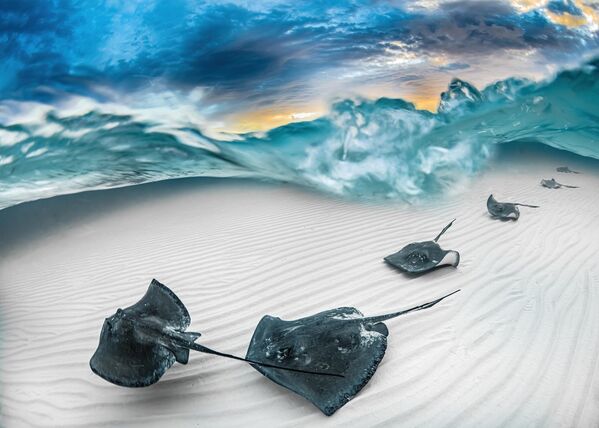 Снимок Fade американского фотографа J. Gregory Sherman, победивший в категории Marelux Wide Angle конкурса The Underwater Photographer of the Year 2023. - Sputnik Азербайджан
