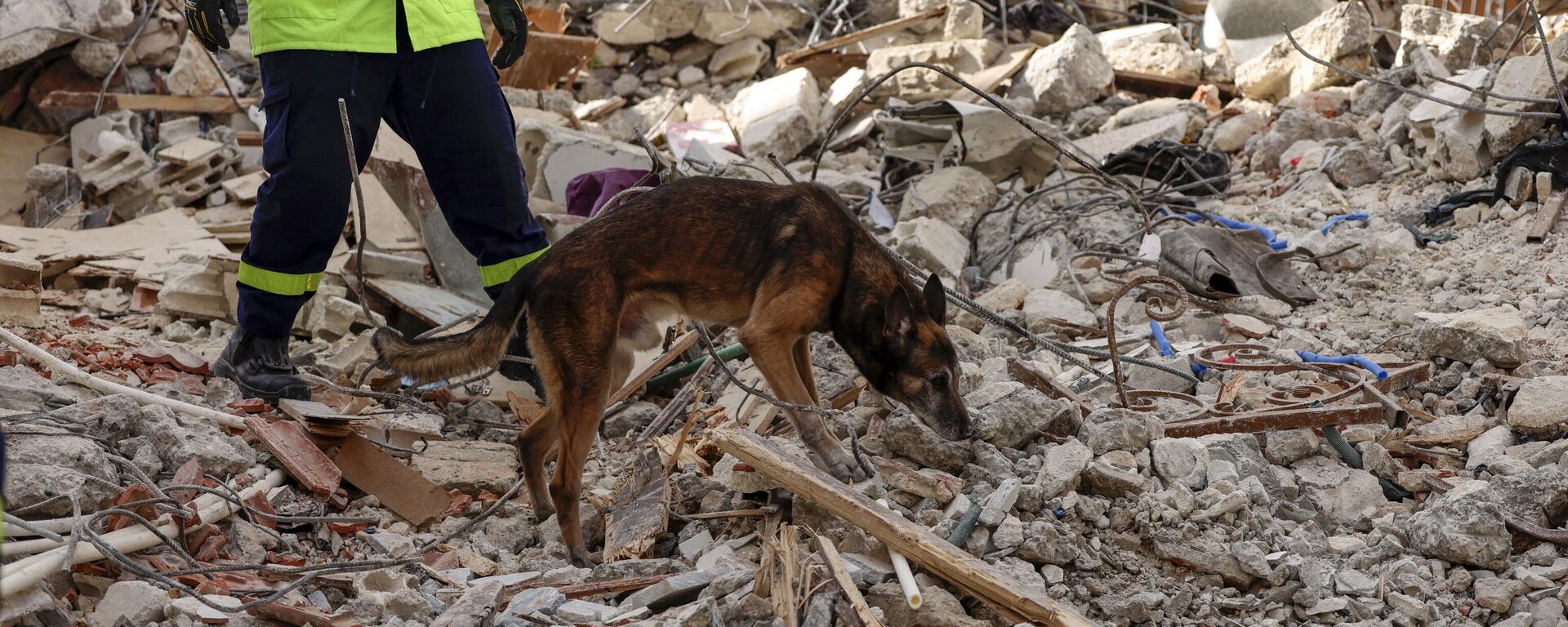 Собака-спасатель ищет выживших под завалами здания в Турции после землетрясения - Sputnik Азербайджан, 1920, 23.02.2023