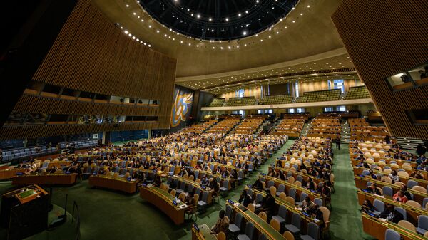 Заседание ООН, фото из архива - Sputnik Azərbaycan