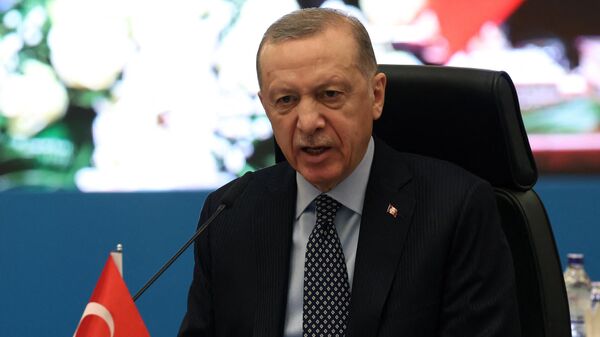 Türkiyə prezidenti Rəcəb Tayyib Ərdoğan, arxiv şəkli - Sputnik Azərbaycan