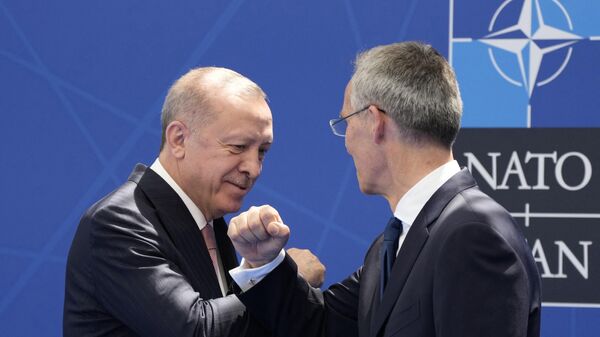 Переговоры президента Турции Реджепа Тайипа Эрдогана и генсека НАТО Йенса Столтенберга  - Sputnik Азербайджан
