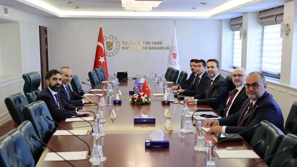 Азербайджан и Турция обсудили сотрудничество в сфере энергетики - Sputnik Азербайджан