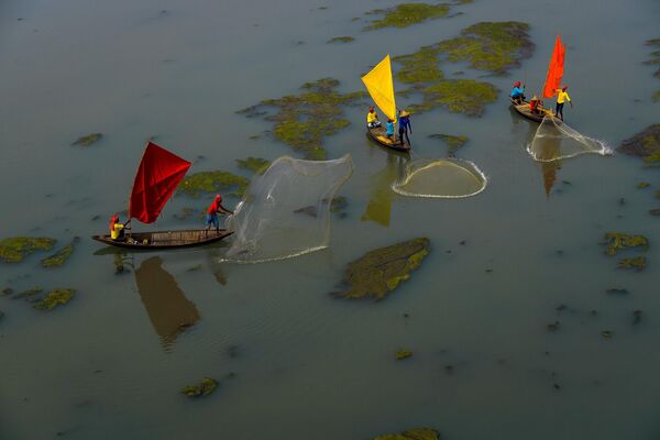 Рыбная ловля на Замшелой реке. Индия. Моя планета, серии. - Sputnik Азербайджан