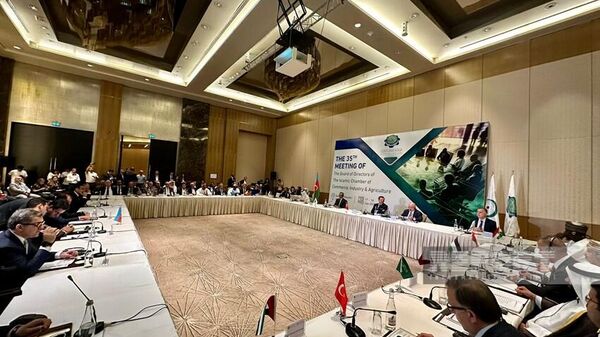 Заседание Совета директоров Исламской торгово-промышленной и сельскохозяйственной палаты - Sputnik Азербайджан
