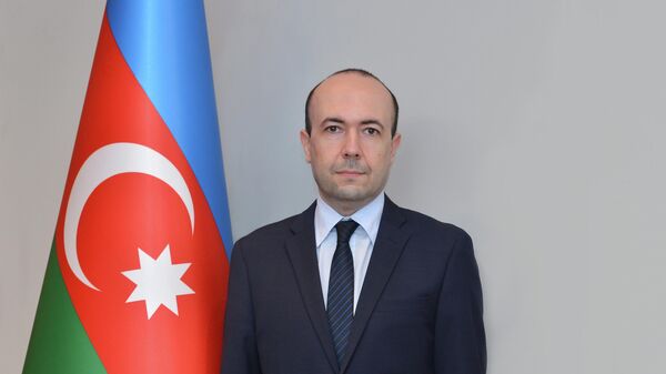 Fariz Rzayev - Sputnik Azərbaycan