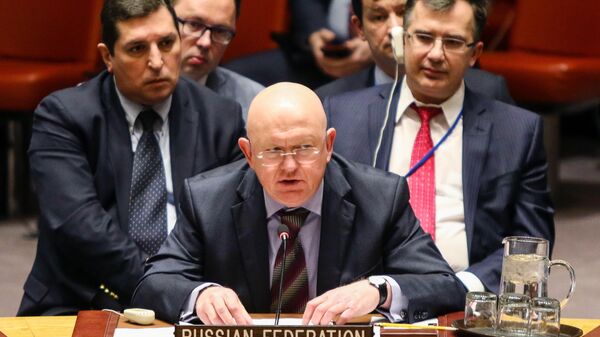 Постоянный представитель РФ при ООН Василий Небензя - Sputnik Азербайджан