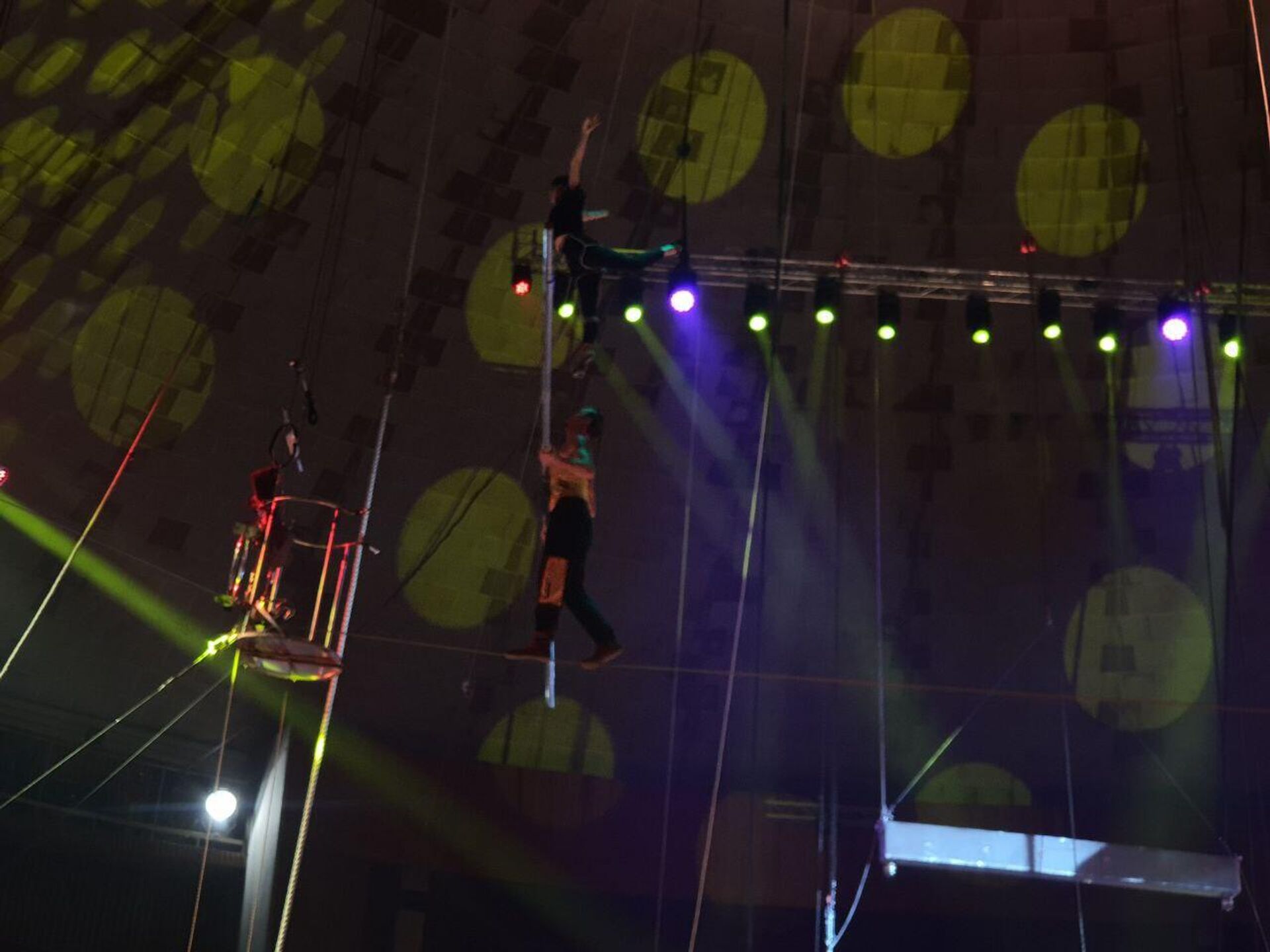 Бакинским зрителям на сцене Бакинского государственного цирка впервые будет представлено международное водное шоу под названием «Удивительный город», организованное Аллахверди Исрафиловым - Sputnik Азербайджан, 1920, 09.10.2023