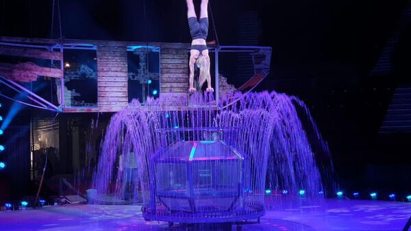 Бакинским зрителям на сцене Бакинского государственного цирка впервые будет представлено международное водное шоу под названием «Удивительный город», организованное Аллахверди Исрафиловым - Sputnik Азербайджан