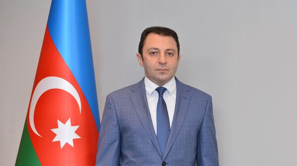 Elnur Məmmədov - Sputnik Azərbaycan