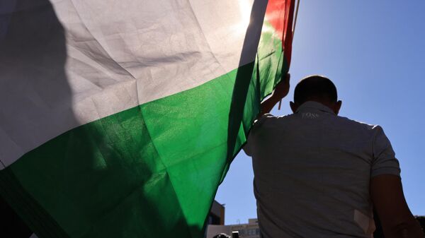 Люди с флагами Палестины, фото из архива - Sputnik Азербайджан