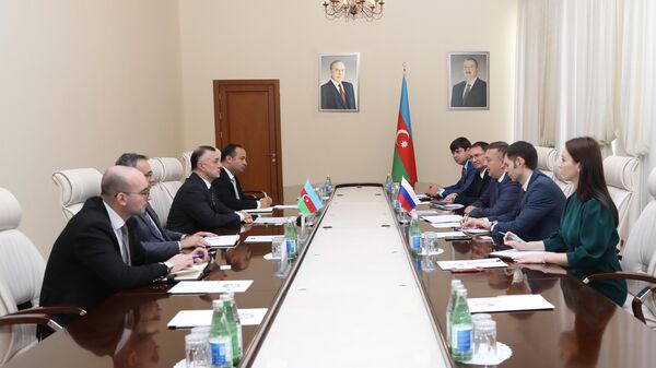 Обсуждено сотрудничество в здравоохранении между Азербайджаном и Свердловской областью РФ - Sputnik Азербайджан
