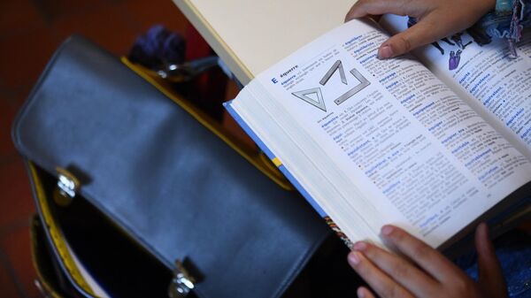 Ученик читает словарь, фото из архива - Sputnik Азербайджан