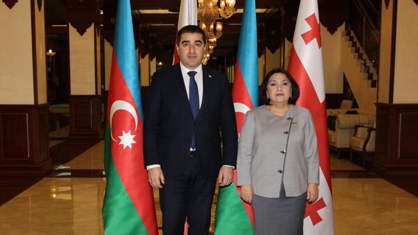 Спикер Милли Меджлиса (парламент) АР Сахиба Гафарова и с грузинским коллегой Шалвой Папуашвили  - Sputnik Азербайджан