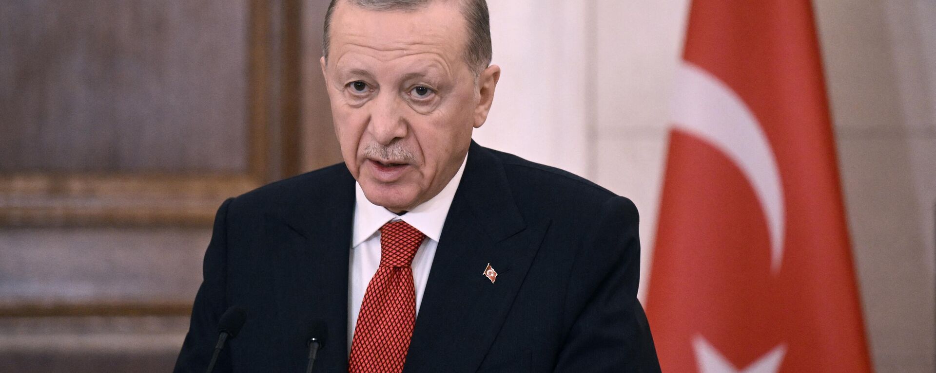 Президент Турции Реджеп Тайип Эрдоган - Sputnik Азербайджан, 1920, 15.05.2024