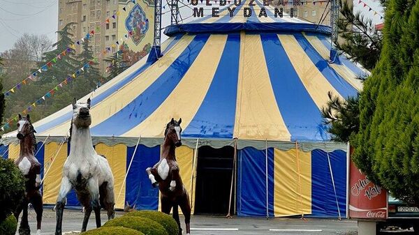 В Гяндже установлен самый большой в Азербайджане стационарный цирк-шапито - Sputnik Азербайджан