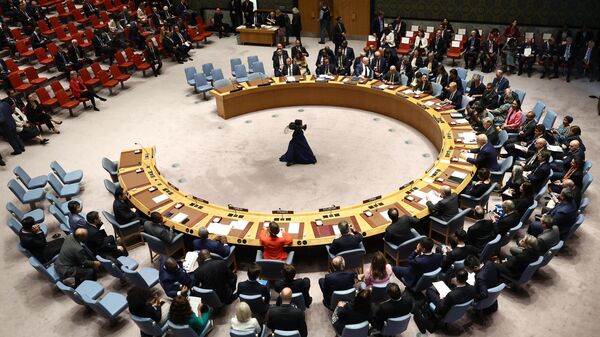 Заседание Совета Безопасности ООН в штаб-квартире ООН в Нью-Йорке - Sputnik Azərbaycan