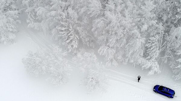 Человек фотографирует заснеженный лес в Красноярском крае - Sputnik Азербайджан