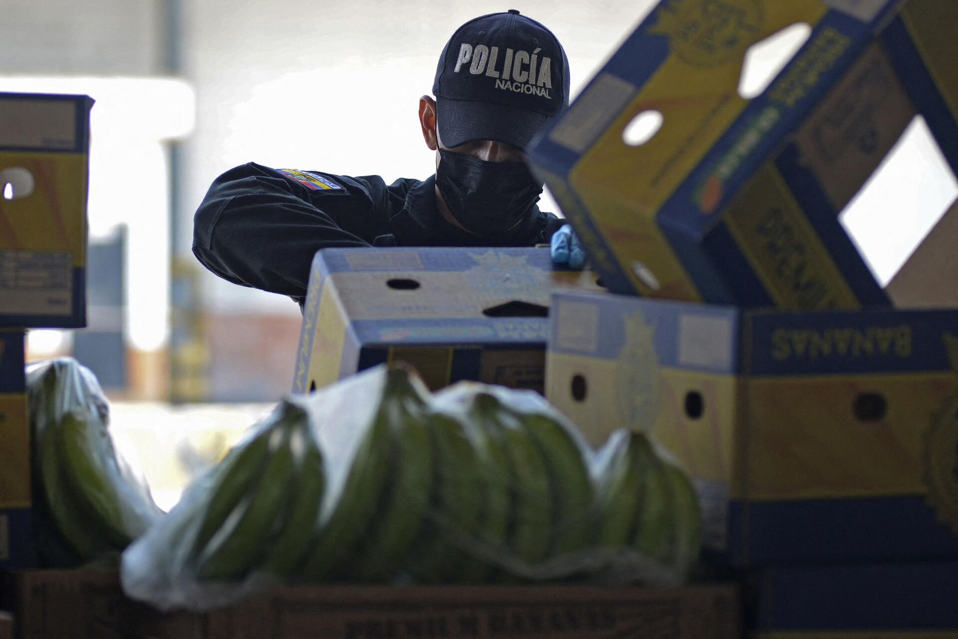 Сотрудник полиции проверяет коробки с бананами в порту Гуаякиль, Эквадор - Sputnik Азербайджан, 1920, 15.01.2024