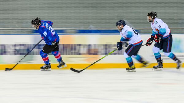 Хоккейный матч, фото из архива - Sputnik Азербайджан