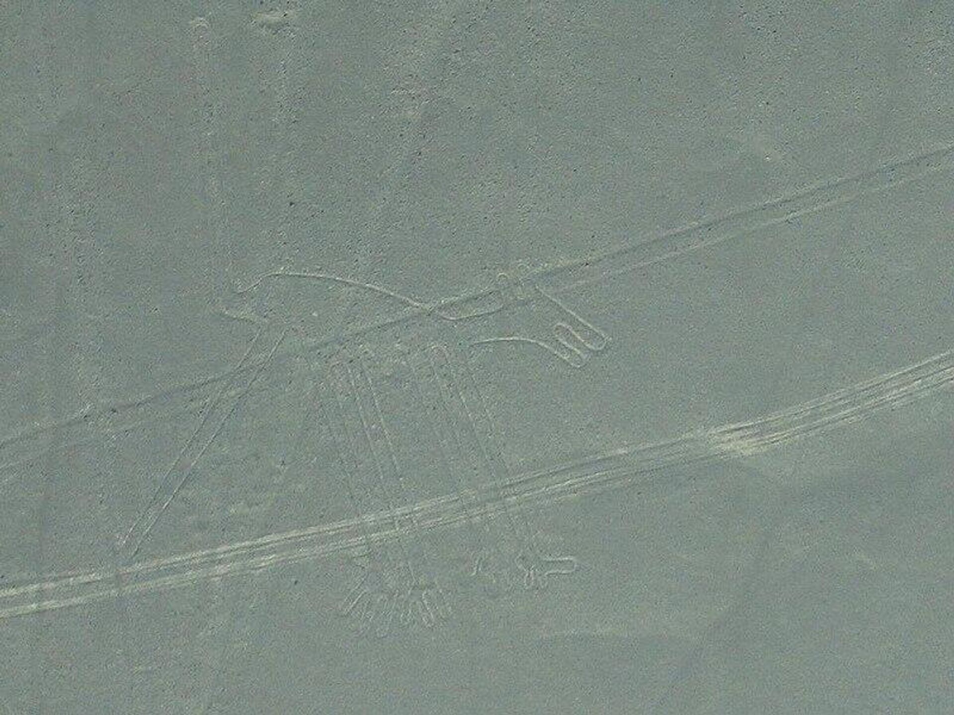 Cобака в долине Наска - Sputnik Азербайджан, 1920, 09.05.2024