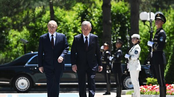 Rusiya prezidenti Vladimir Putin və Özbəkistan prezidenti Şavkat Mirziyoyev - Sputnik Азербайджан