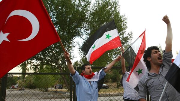 Мужчина с флагами Турции и Сирии, фото из архива - Sputnik Азербайджан