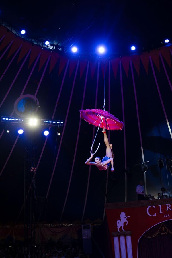 На протяжении всего лета вниманию зрителей будет представлена международная программа &quot;Легенды Монте-Карло&quot; с участием артистов одного из самых престижных цирковых фестивалей в мире. - Sputnik Азербайджан
