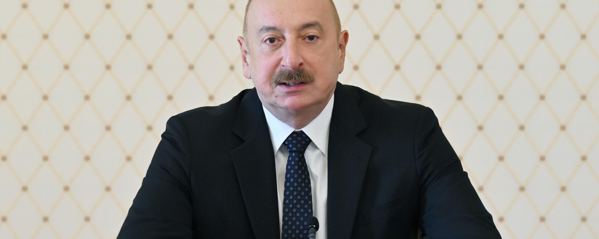 Президент Ильхам Алиев принял делегацию ТЮРКПА - Sputnik Азербайджан, 1920, 15.06.2024