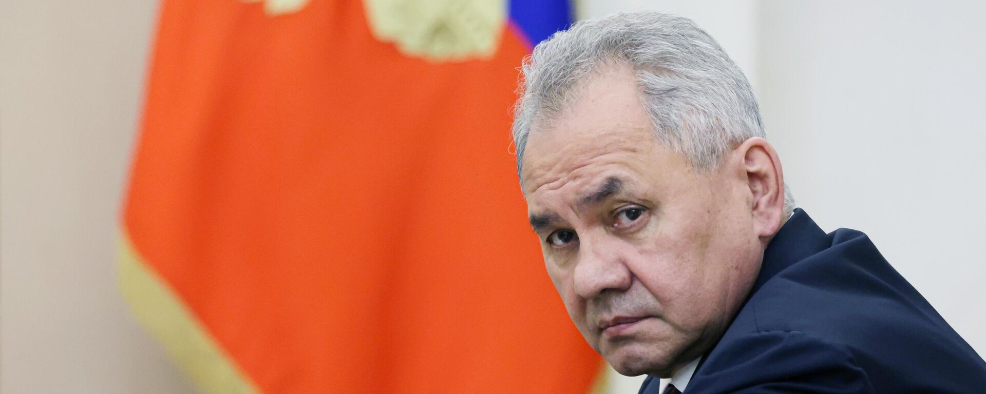 Секретарь Совета безопасности РФ Сергей Шойгу  - Sputnik Азербайджан, 1920, 08.08.2024