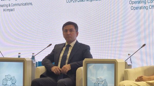 Главный переговорщик COP29, замминистра иностранных дел Азербайджана Ялчин Рафиев - Sputnik Азербайджан