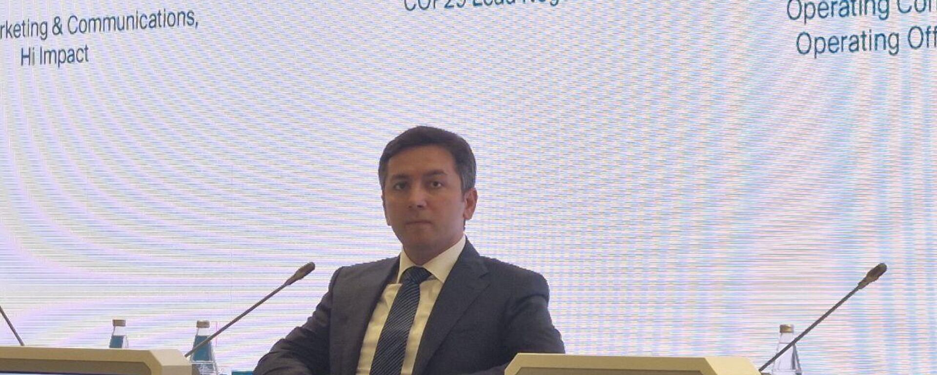 Главный переговорщик COP29, замминистра иностранных дел Азербайджана Ялчин Рафиев - Sputnik Азербайджан, 1920, 14.05.2025