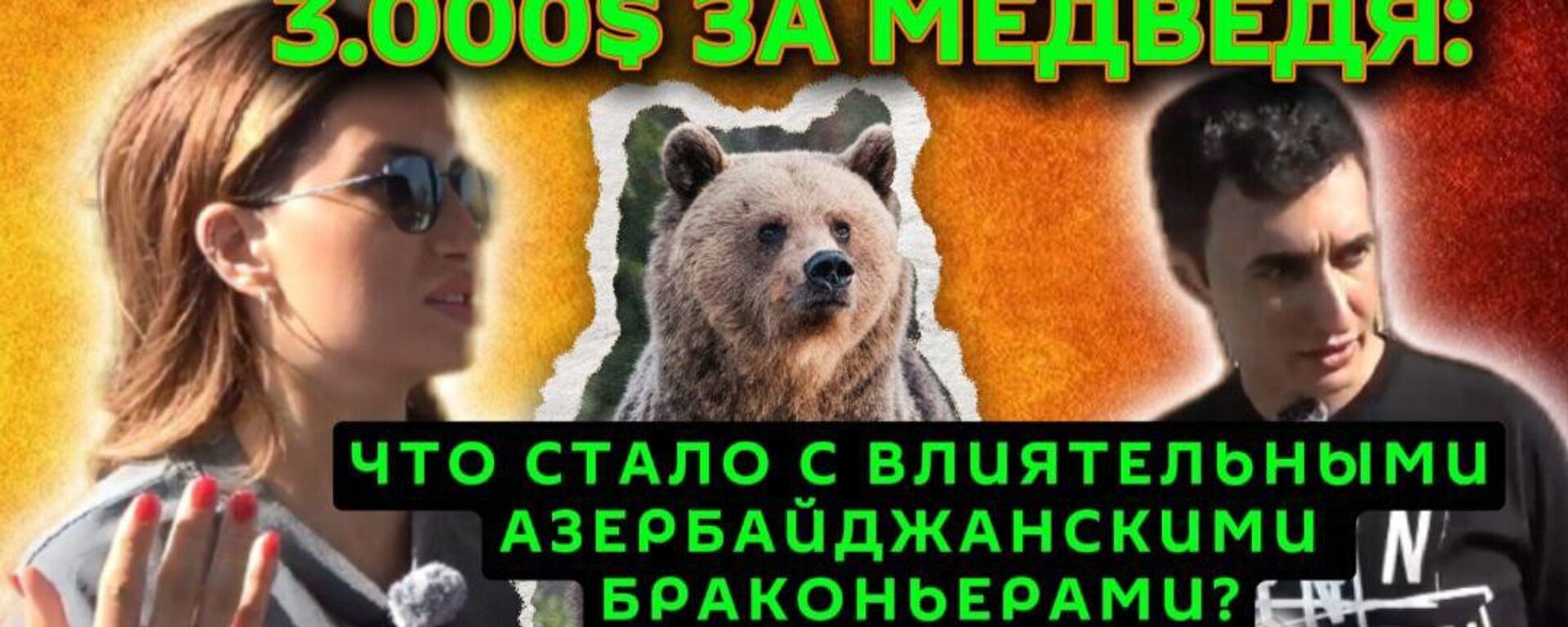 Эксплуатация диких животных в Азербайджане: кто в ответе - Sputnik Азербайджан, 1920, 30.09.2024