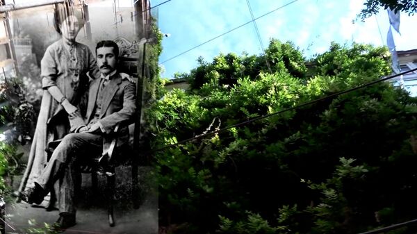 Бакинский дворик с глицинией - Sputnik Азербайджан