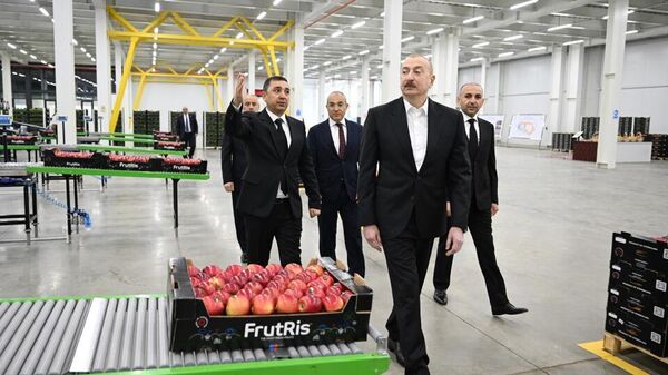 Президент Ильхам Алиев ознакомился с деятельностью садоводческого и холодильно-складского комплекса в Гусарском районе  - Sputnik Азербайджан