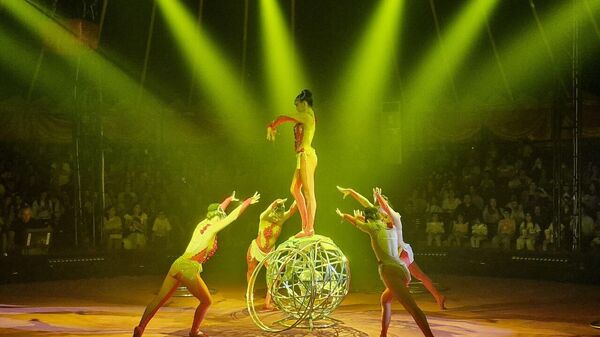 На арене Circus Sea Breeze стартовало новое международное шоу — Аквацирк с тиграми - Sputnik Азербайджан