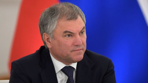 Председатель Государственной Думы России Вячеслав Володин - Sputnik Азербайджан