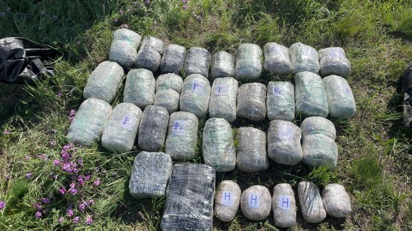 Таможенники в Азербайджане пресекли ввоз очередной партии наркотиков из Ирана - Sputnik Азербайджан