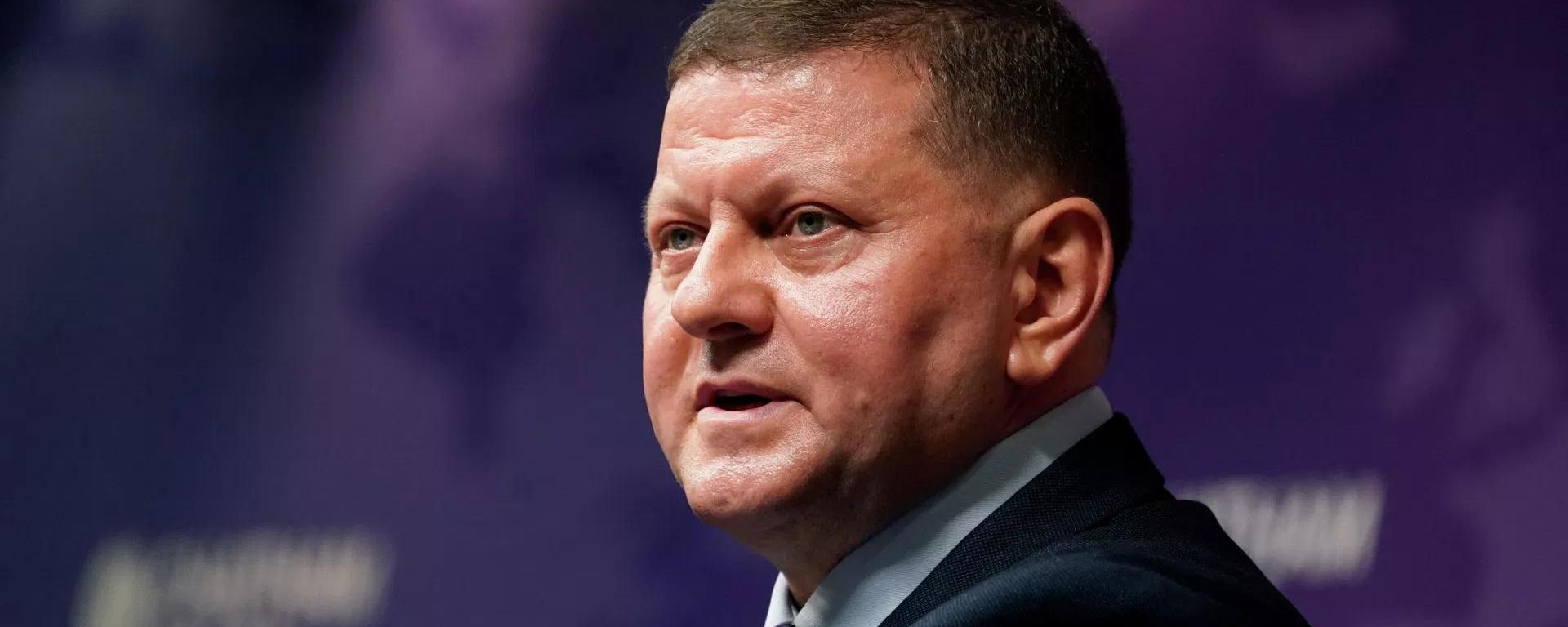 Экс-главком ВСУ и посол в Великобритании Валерий Залужный - Sputnik Азербайджан, 1920, 04.08.2026