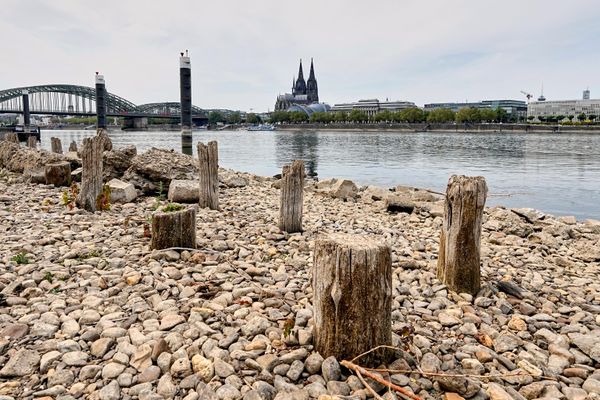 Из-за исторически низкого уровня воды в Рейне, вызванного аномальной жарой и затяжной засухой, обнажились остатки послевоенного моста Паттона - Sputnik Азербайджан