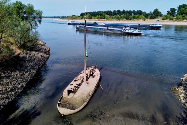 В реке Рейн обнажились затонувшие старые баржи, занимавшиеся ловлей угрей. - Sputnik Азербайджан