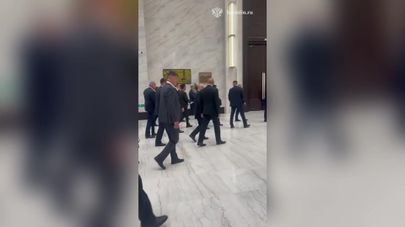 Путин и Алиев переговорили на полях саммита ШОС