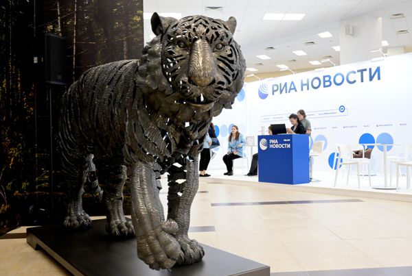 Скульптура амурского тигра, весом в 600 кг, представленная на Восточном экономическом форуме - Sputnik Азербайджан