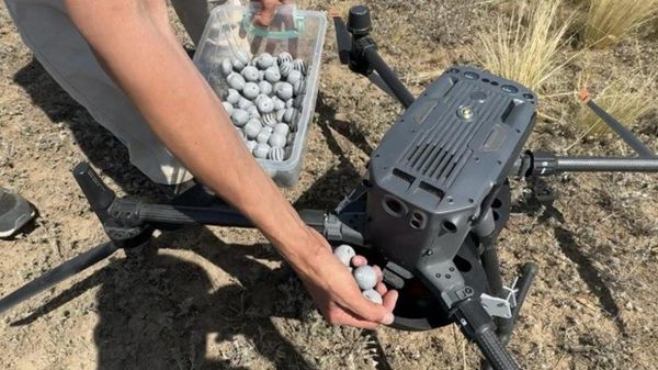 БПЛА для защиты полей от вредителей в Казахстане - Sputnik Азербайджан